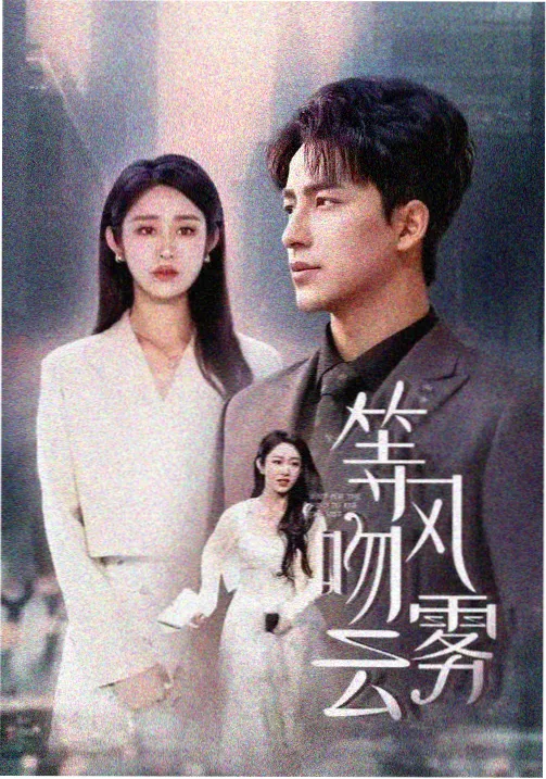 下载电影网片库条目：雾线以北
